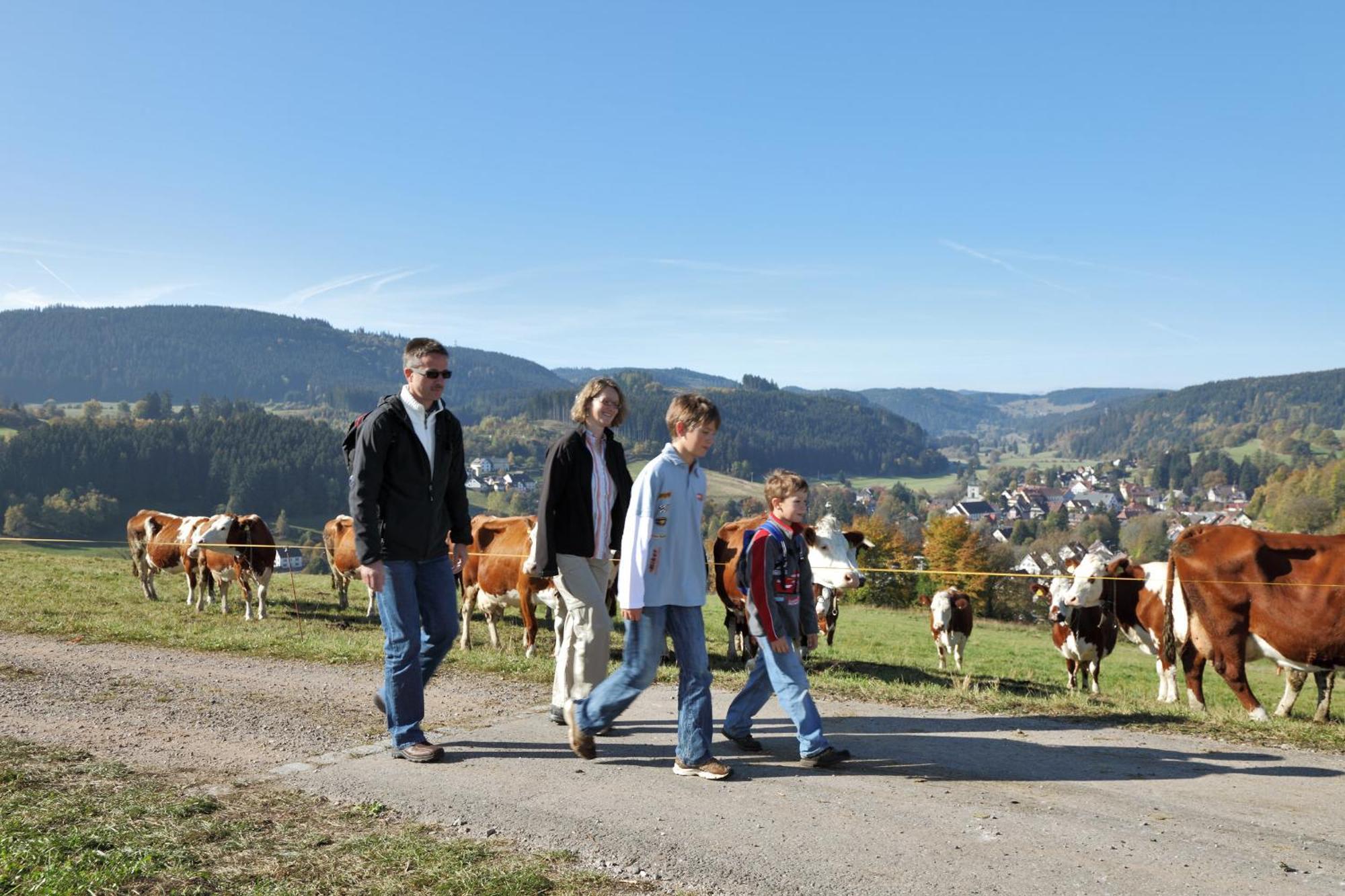 Pension Waldwinkel Lenzkirch Exteriér fotografie